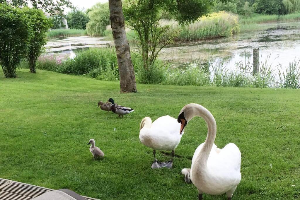 Cotswolds Lake Side Home With Luxury Spa Swallows Nest,Lower Mill Estate, Lakeside Home And Spa With A Harry Potter Cupboard Under The Stairs Somerford Keynes Zewnętrze zdjęcie